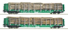 Roco H0 6600319 2-tlg. Set Rungenwagen Rnoos OnRail Ep.VI
