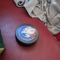 Eishockey Puck ZSC Lions Inglasco gebraucht guter Zustand