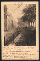 AK Genève, Strassenpartie mit Bäumen