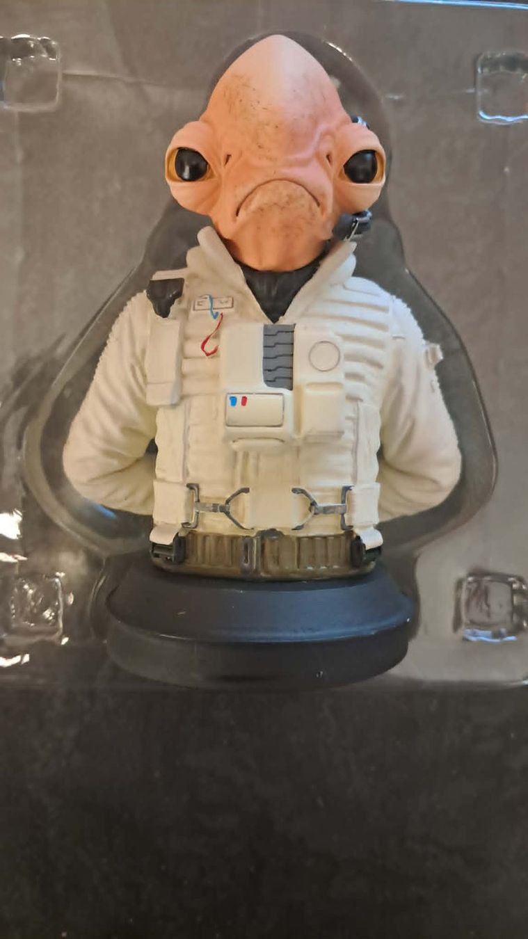 Star Wars Statuette: Figurine "Star wars bust collection" ou "Marvel" – Nuovo e nell'imballaggio originale da PRILLY venduto da 55b_nh8l