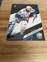 Sportzoo Playoffs 25/25 ZSC Lions Baltisberger 42/60