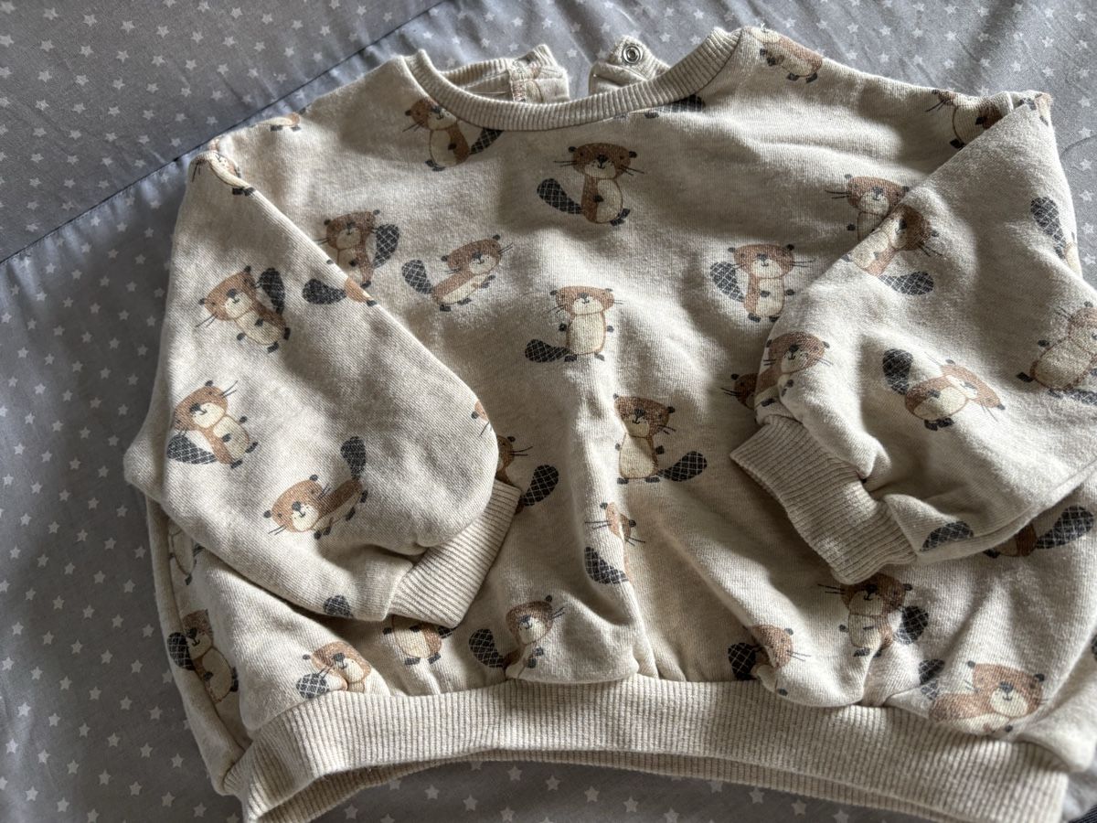 Maglioni & Felpe: Pullover Kindergrösse 86/92 Baumwolle mit Biber Motiv – Usato da Wohlenschwil venduto da angelsweet
