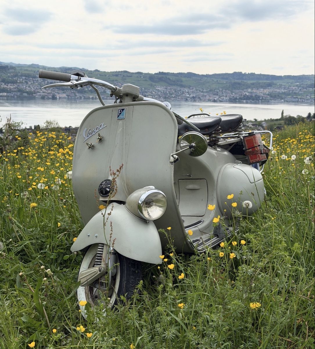 Piaggio Altro: Faro Basso 1953 – Usato da Männedorf venduto da GSgolfer 6