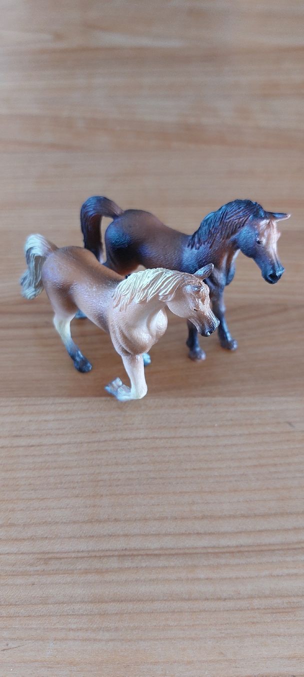 Schleich Giocattoli: Schleich Pferde Set – Usato da Freidorf TG venduto da Suge 4