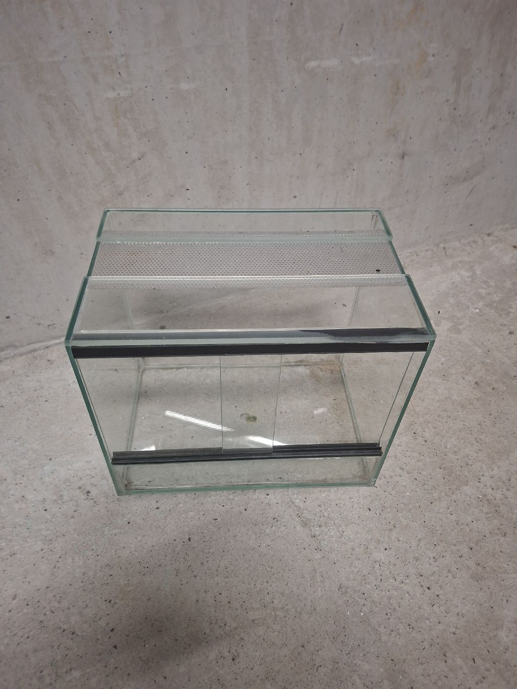 Terrario: Kleines Glasterrarium  günstig! – Usato da Luzern venduto da cot_5mrd 3