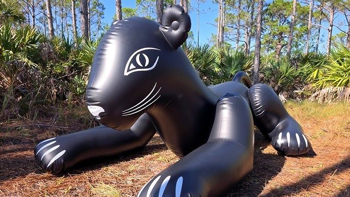 Giocattoli: Inflatable Shosu black cat – Usato da Le Locle venduto da boe_d6hd