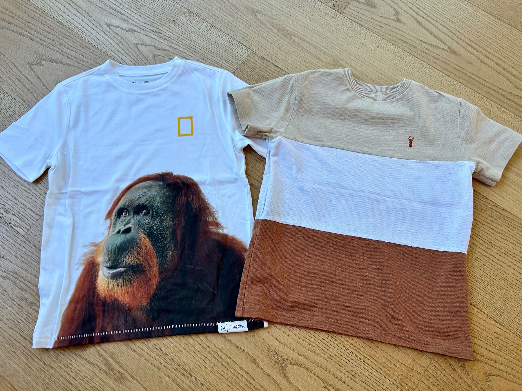 Hemden, T-Shirts & Polos: T- Shirts Gr. 128/134 – Neu (gemäss Beschreibung) aus Rothrist von szc_9dg5