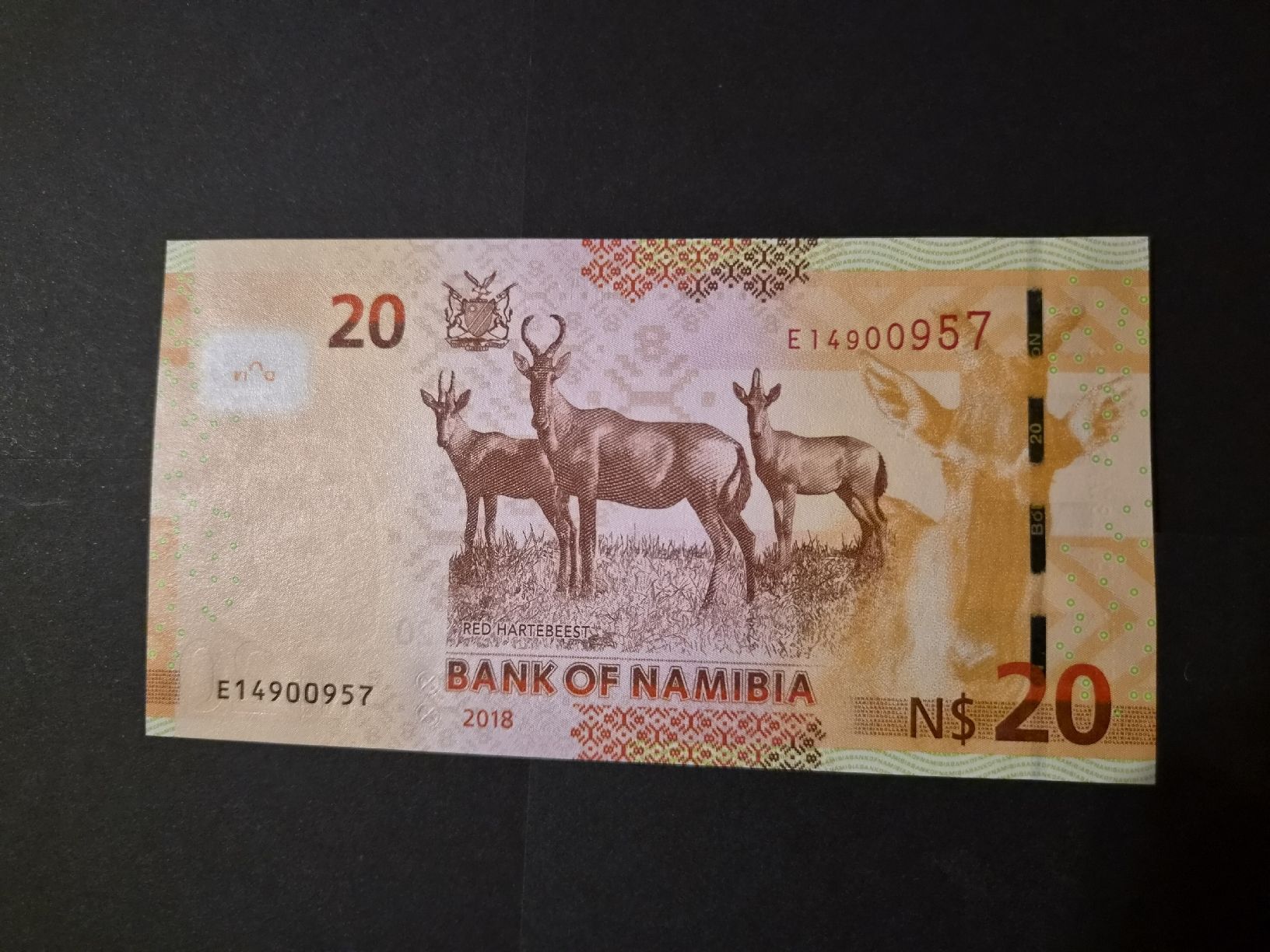 Banconote: Namibie 2018 20 dollars P17 UNC – Nuovo (secondo la descrizione) da Versoix venduto da rucio 1
