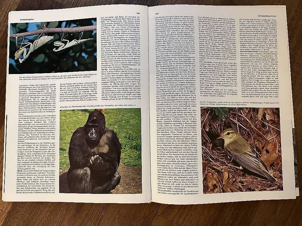 Libri: Das grosse farbige Tierlexikon – Nuovo (secondo la descrizione) da Oberrohrdorf venduto da Augustus5 2