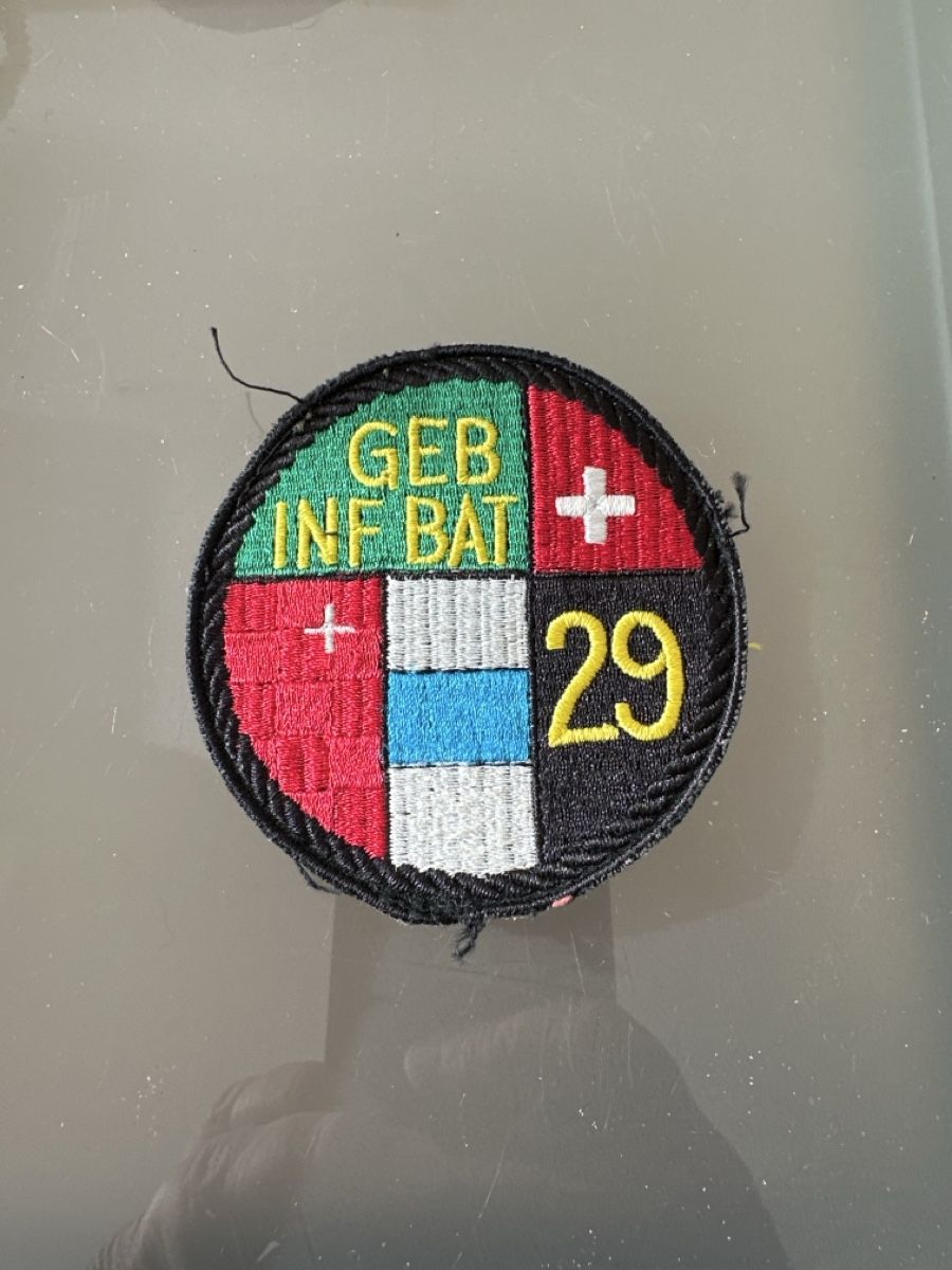Schweizer Armee Placchette & Badge: Armee – Usato da Morbio Inferiore venduto da Ecod