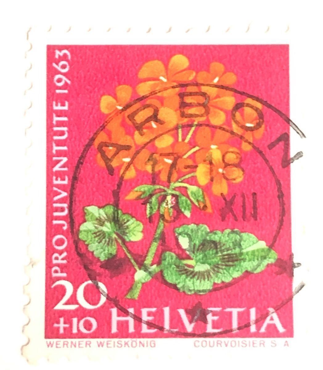 Tutti i francobolli: Nr.J202 mit Vollstempel Arbon – Usato da Aarau venduto da Billa007