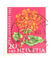 Nr.J202 mit Vollstempel Arbon