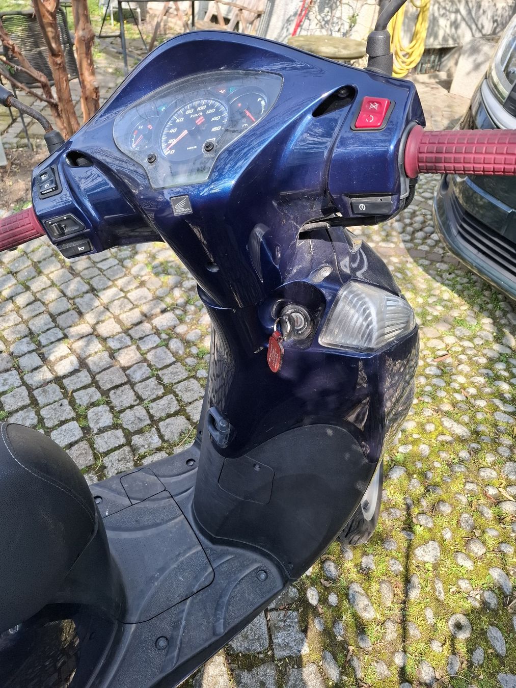 Honda Scooter: Honda Sh300i – Usato da Reinach BL venduto da chlaus04 7