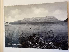 Carte Postale - Oblia - isola di tavolara