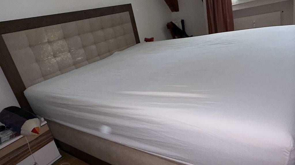 Hasena Letti: Boxspringbett Hasena, 10 jährig – Usato da Schönenbuch venduto da Charlie62 3