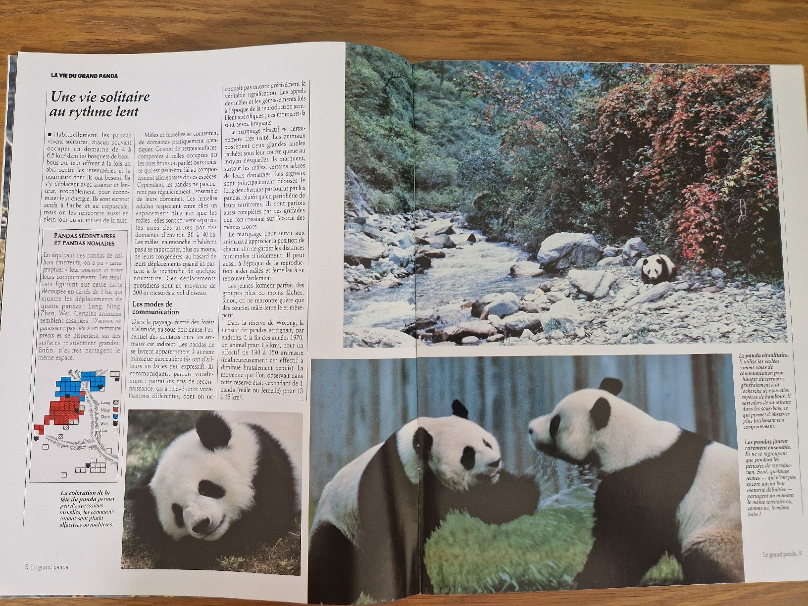 Riviste & Magazine: Vie sauvage - le grand panda – Nuovo (secondo la descrizione) da Villars-sur-Glâne venduto da Agnie80 1