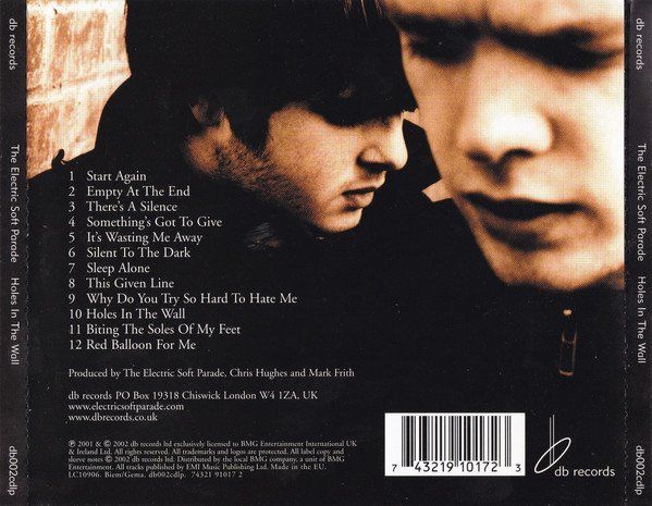 CD: Electric Soft Parade - Holes In The Wall – Usato da Uzwil venduto da visions77 1