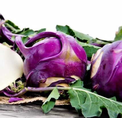Piante & sementi: 30 SAMEN GRAINES SEMI  Blauer Kohlrabi – Nuovo e nell'imballaggio originale da Rovio venduto da POSITIFFARTandPLANTS 3