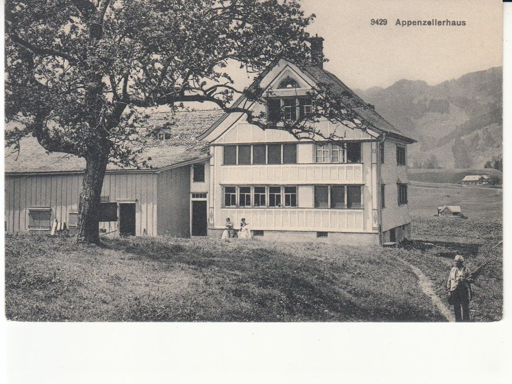 Cartoline postali: Appenzellerhaus ca. 1910 – Usato da Bürglen TG venduto da StampGraf