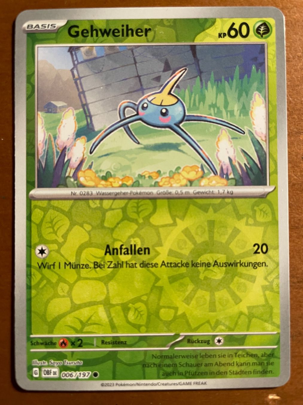 Pokémon Carte collezionabili: Pokemon Gehweiher Reverse (Versand gratis) – Nuovo (secondo la descrizione) da Chur venduto da Angerson