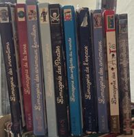 L'imagerie FLEURUS lot de 11 livres enfants ancien état