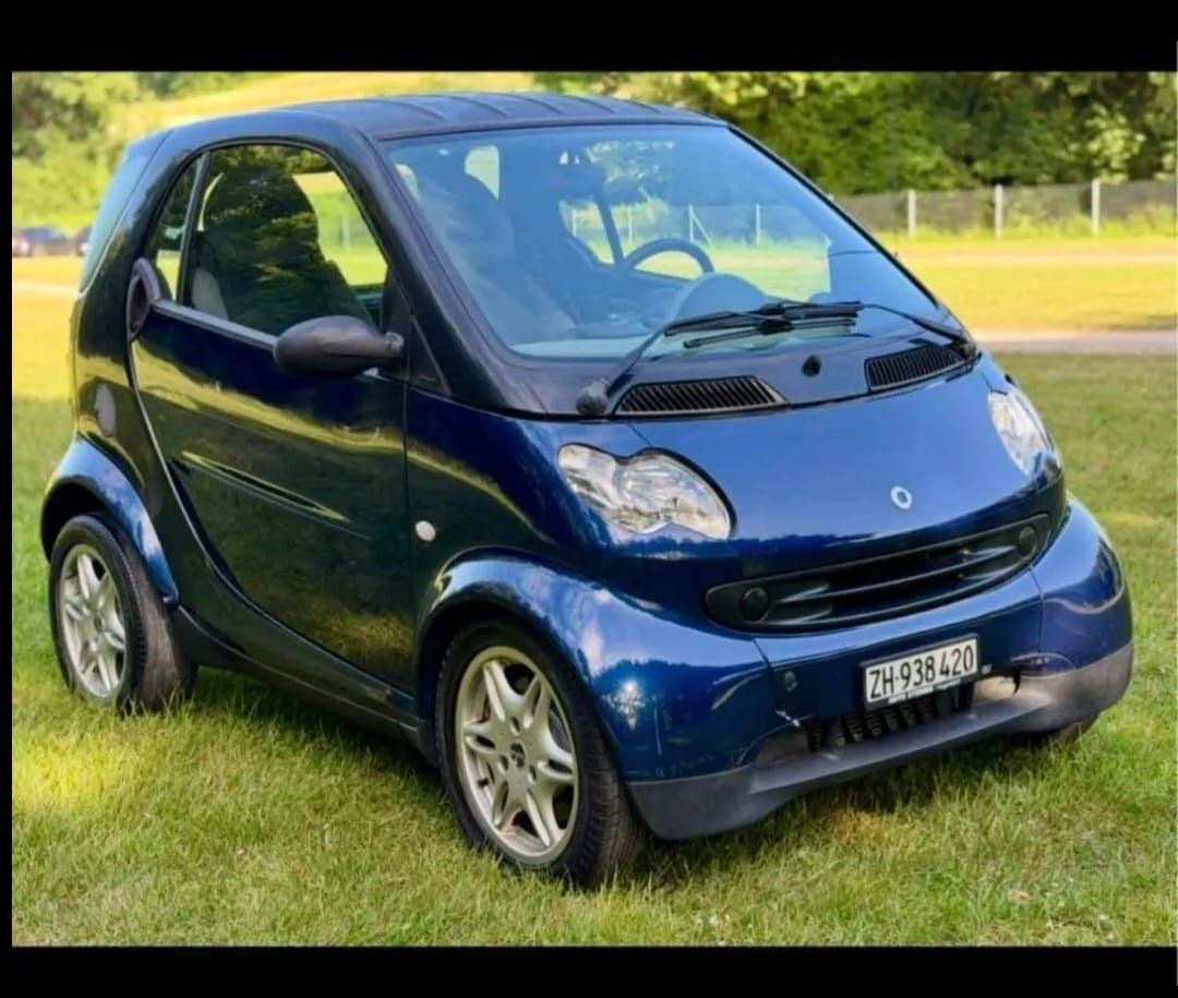 Smart Automobili: Frisch ab Mfk – Usato da Kriens venduto da bel_f7c8 1