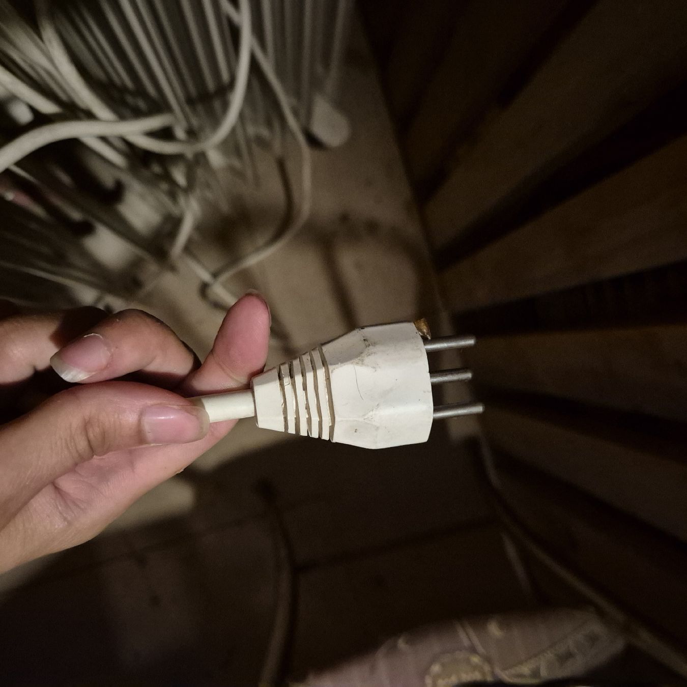 Rotel Heizgeräte: Radiateur bain d’huile rotel – Gebraucht aus Genthod von Lenas9 2