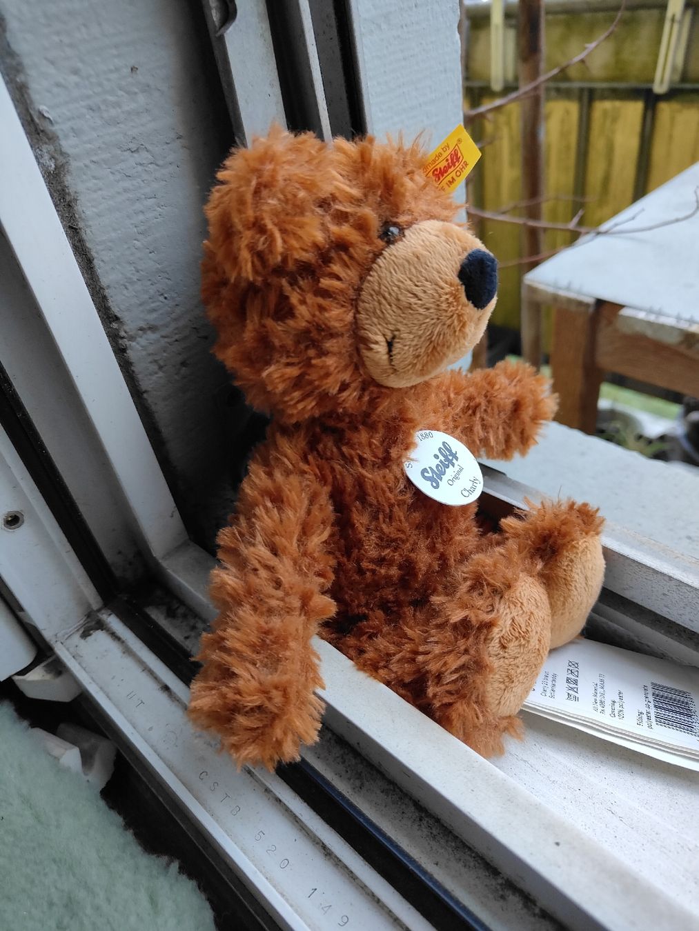 Steiff Giocattoli: Steiff Teddy – Nuovo (secondo la descrizione) da Olten venduto da Ritababy 2