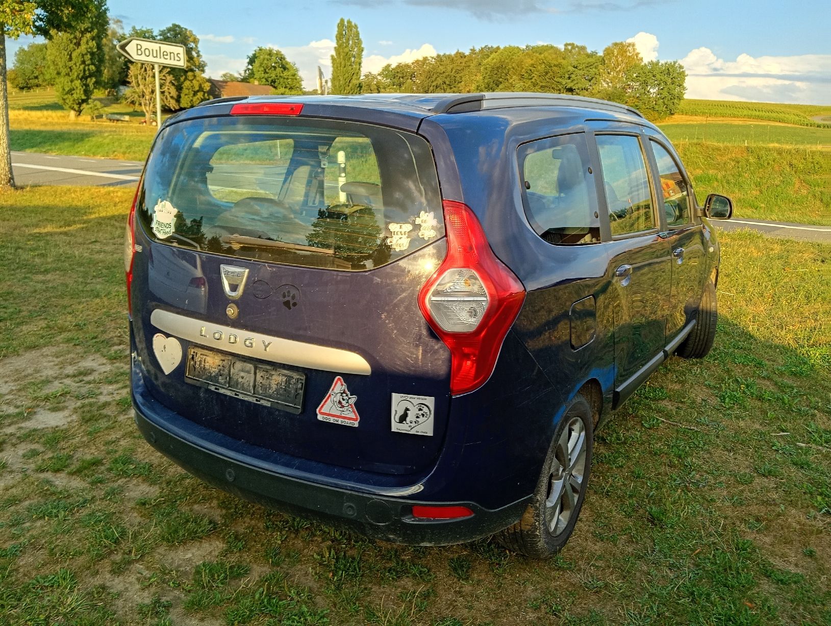 Automobili: Dacia Lodgy1.2 – Difettoso da Bern venduto da exp_hm5r 8