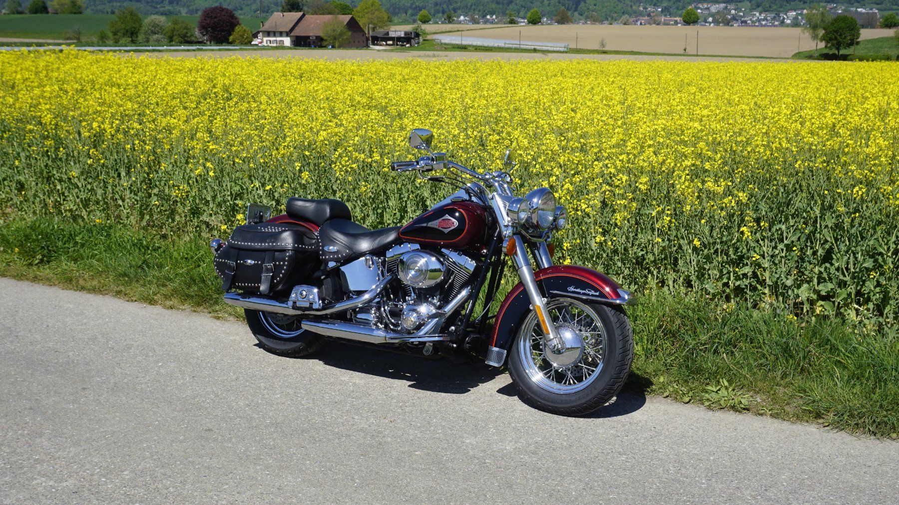 Harley-Davidson Chopper: Harley-Davidson Heritage Classic – Usato da Neuendorf venduto da kar_zm7j 4