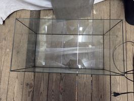 Terrarium 