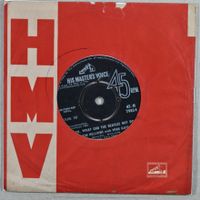 Single: THE HELLIONS & MINA KAVA - Oh, What Can The Beatles