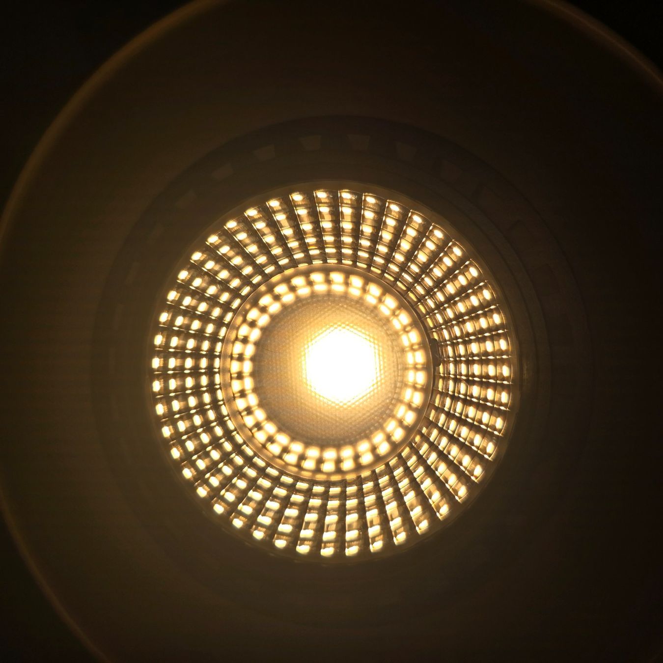 Lampes: Pflanzenlampe 'Soltech' (Schwarz) – Neuf (Voir description) à Mettau par eli_k78v 6