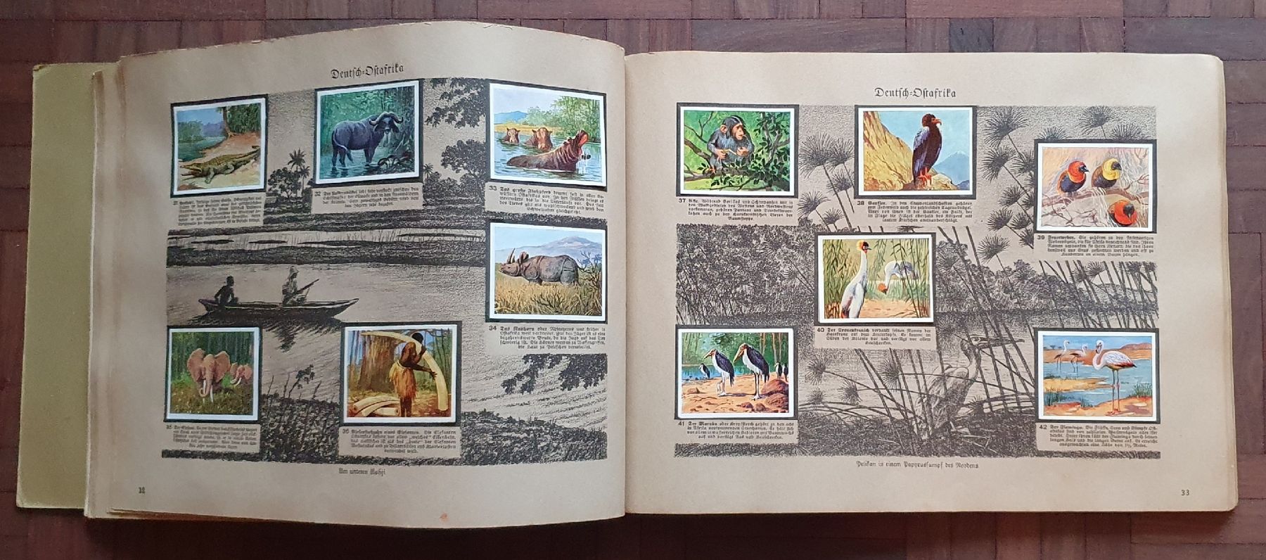 Sammelbilder & Trading cards: Zigarettenbilderalbum - Deutsche Kolonien – Gebraucht aus Kreuzlingen von Rschweiz1 1