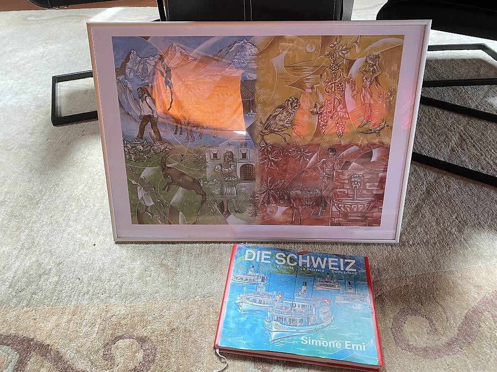 Livres: Schweizer Kunst von Simone Erni Bild + Buch im Set – D'occasion à Gisikon par Jen_03