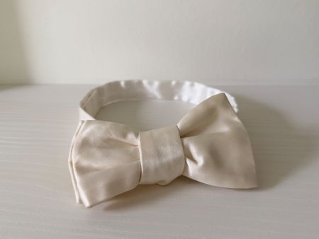 Noeud papillon en soie Charvet