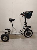 Elektro-Dreirad Scooter (Freeliner)