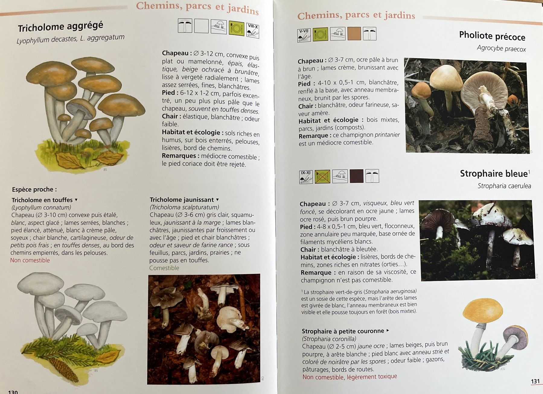 Libri: Champignons du Jura – Usato da Savagnier venduto da Ne2065 4