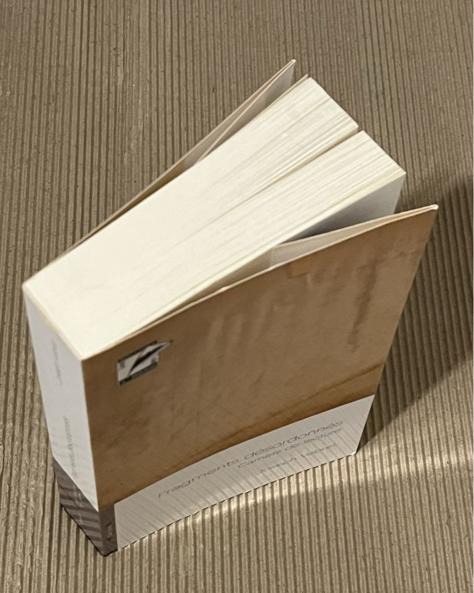 Libri: Fragments désordonnés Carnets de lecture Joseph Vebret – Usato da La Tour-de-Peilz venduto da Pansy02 8