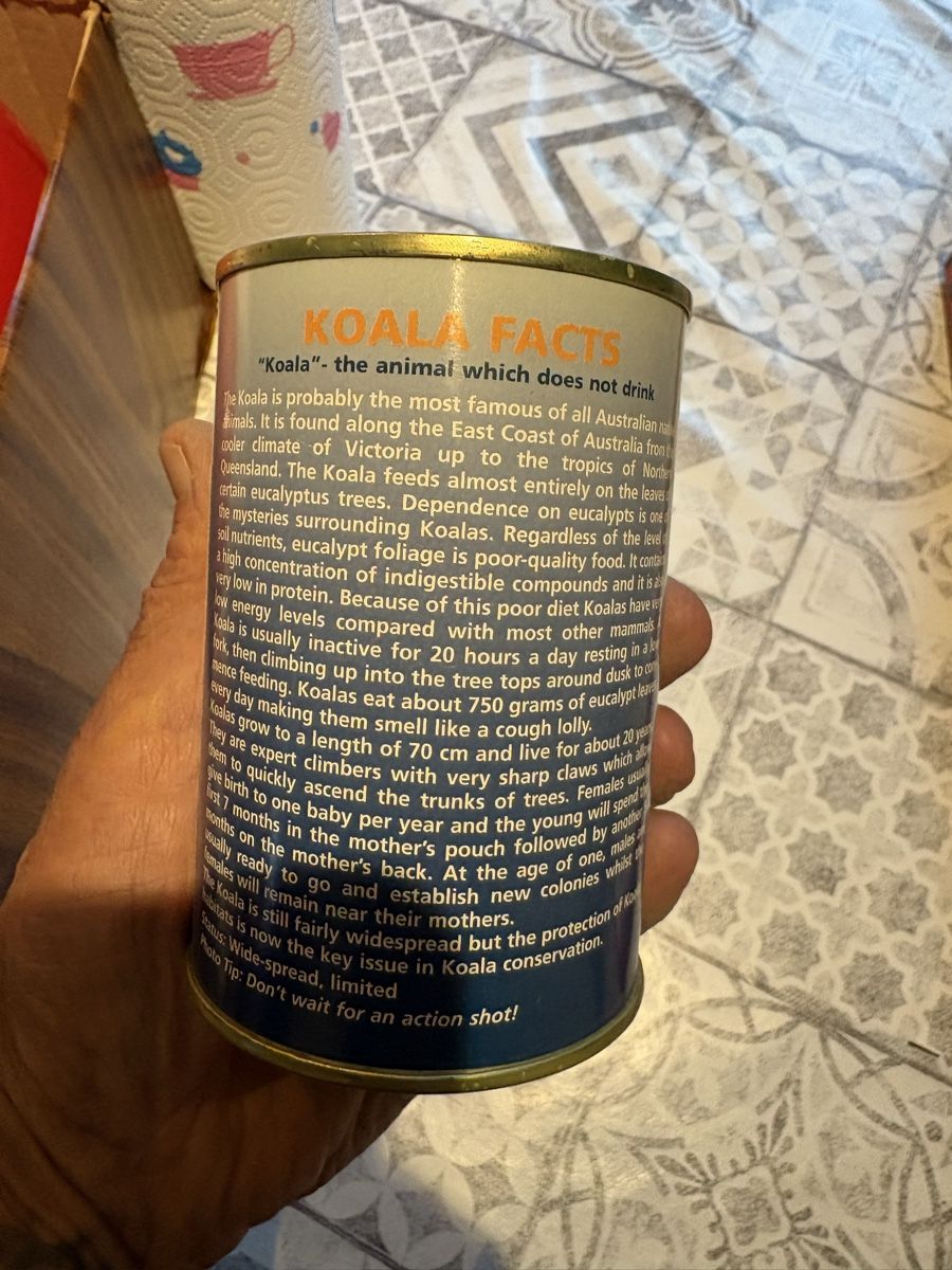 Toutes les décorations: Canned Koala Gimmick Dose  – D'occasion à Obermumpf par davetattoo 2