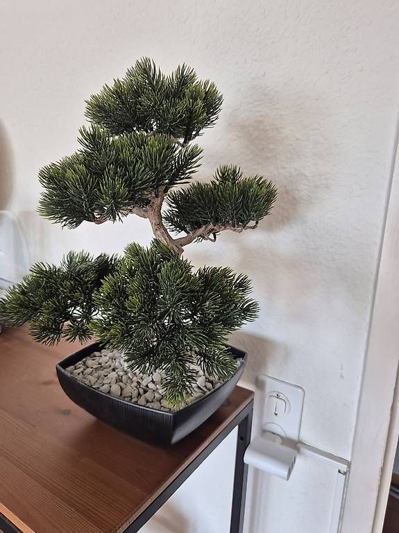 Tutte le decorazioni: Plastik-Bonsai – Usato da Zürich venduto da pompiersmartin 1