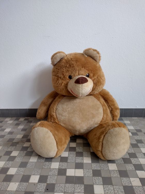 Teddybär / Teddy / Riesenteddy / Megateddy Kaufen auf Ricardo