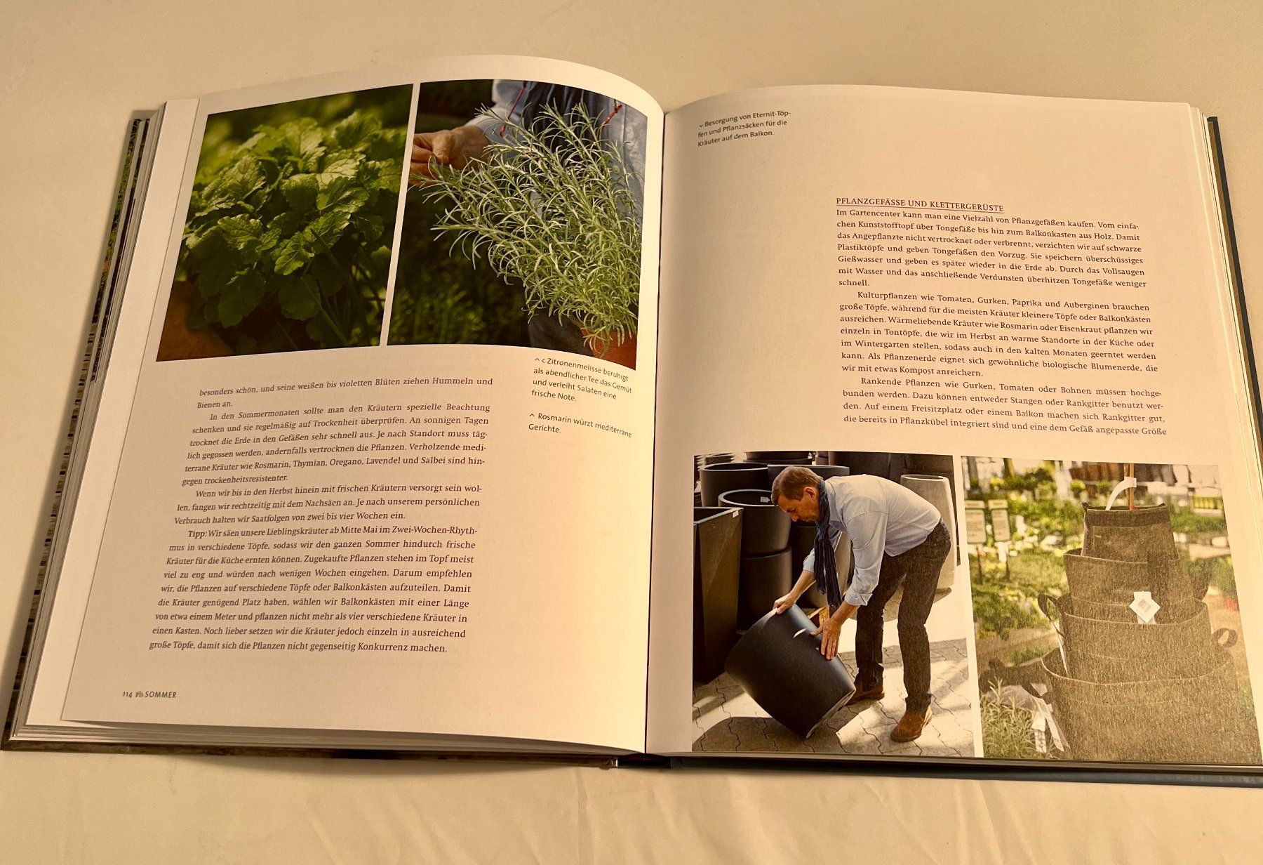 Libri: The Lazy Gardener, Gartenratgeber, Buch – Usato da Zürich venduto da Drahtzug 3
