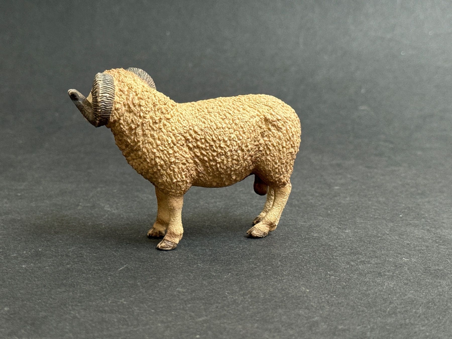 Schleich Statuette: Schleich Widder 13726 Schaf Schafbock – Usato da Ennetbaden venduto da mapa05 4