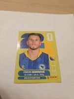 Panini WM 2026 BIH 17