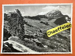 1951 Amden mit Leistenkamm & Gulmen