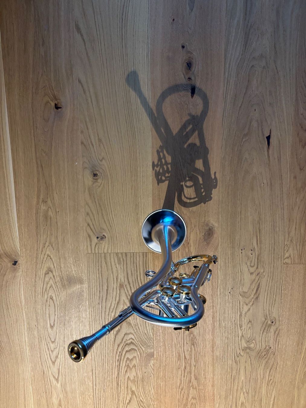 Musikinstrumente: Trompete Bb Schagerl Spyder – Gebraucht aus Locarno von Mulg 2