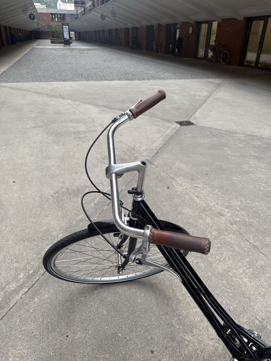Velos: Damen Retro Citybike – Gebraucht aus Zürich von ChickenNuget 1