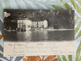 19)AK „Cavallino“Lago di Lugano,1905! 