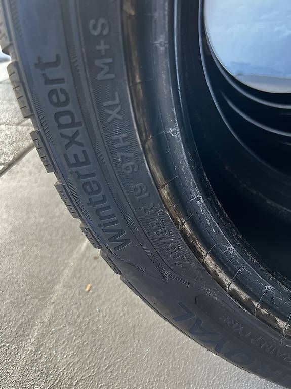Pneumatici & Ruote complete: 205/55 R19 Winterreifen – Usato da Sursee venduto da gas_8n5t 1